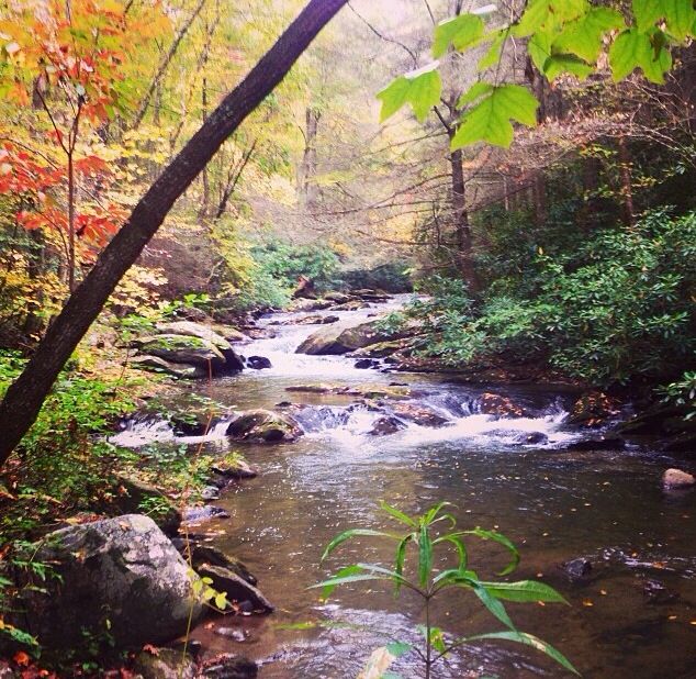 Things To Do Jacks & Conasauga Rivers